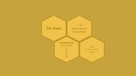 Homapage Bienenprojektk1