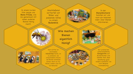 Homapage Bienenprojektk4