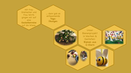 Homapage Bienenprojektk6